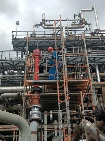 Equipo técnico trabajando en altura entre tuberías de una planta industrial